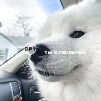 Лукманова Ольга Антоновна Лукманова Ольга Антоновна